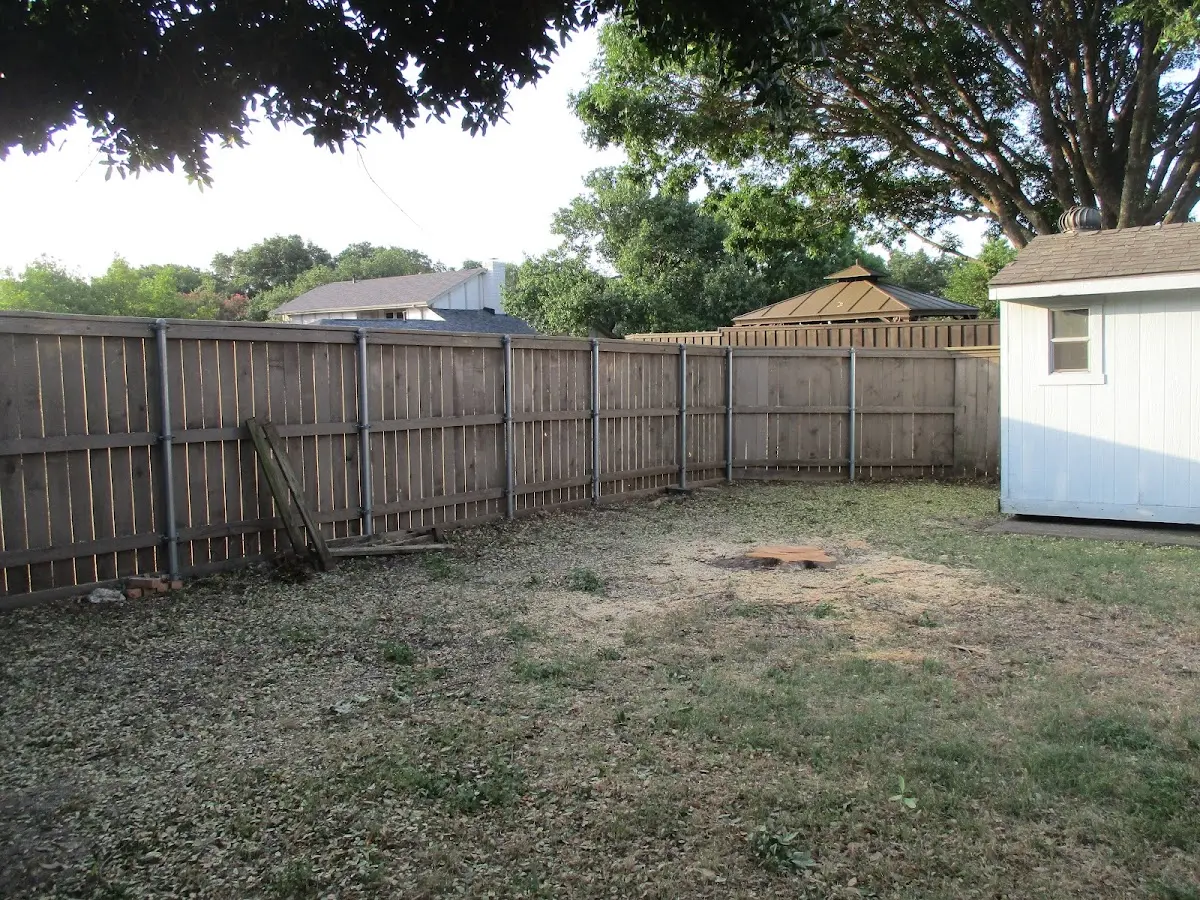 Cleared yard after professional tree removal in Farnham